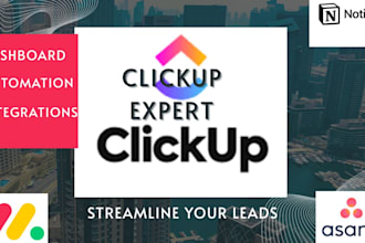 setup your clickup workflow, notion, and also monday com