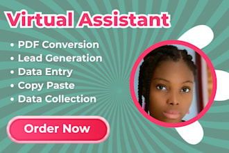 be your virtual assistant for data entry, convert pdf to words, web research