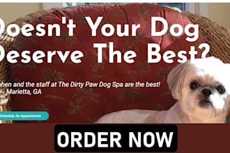 design pet grooming website veterinary clinic website pet care website