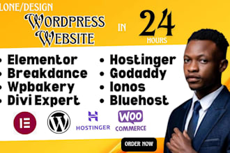 do godaddy bluehost hostinger wpbakery divi theme website as divi expert in 24hr