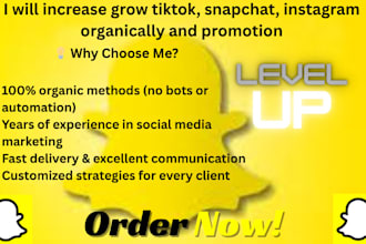 setup and run snapchat ads, snapchat manager to gain audience