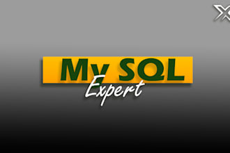 write sql queries and create reports for your database