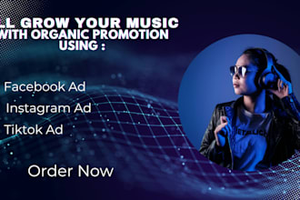 grow your music with facebook, instagram, tiktok ads