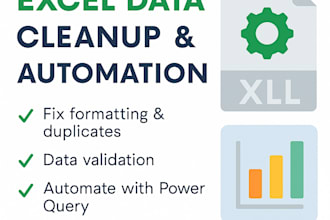 be your excel expert for data cleaning and dashboard reports