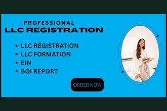 register your USA llc, get ein, and assist with reseller certificate