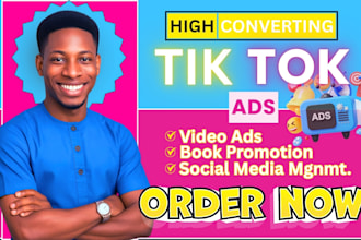 do tik tok video ads book promotion tik tok ads promotional video ads on booktok