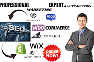 shopify wix wordpress woocommerce squarespace website seo speed optimization