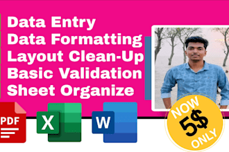 professionally format clean and organize your excel spreadsheets