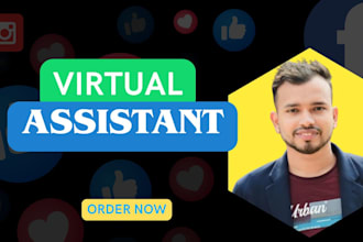 be your trusted VA and do SEO, fb ads campaign, data entry, canva design