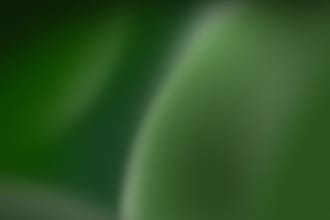 help translating text very cheap