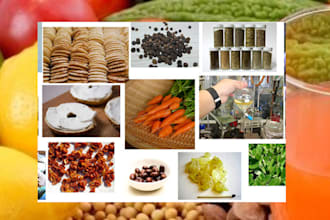 specialize in food formulation and product development for your business