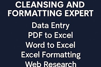 data entry, data cleansing, automation and file conversion