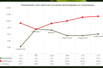 organize your messy data into structured excel reports