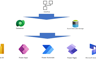 professionally build power apps, power automate, canvas apps