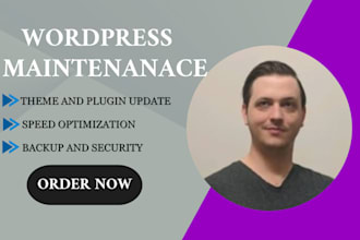 do wordpress website maintenance and support with management and bug fix