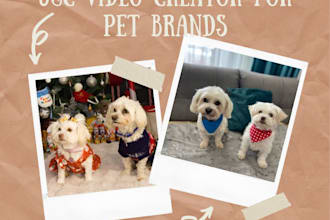 create ugc videos for pet products, tiktok ads, dog brands and pet content