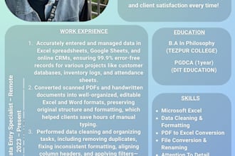 do fast and accurate data entry, excel work, and spreadsheet clean up