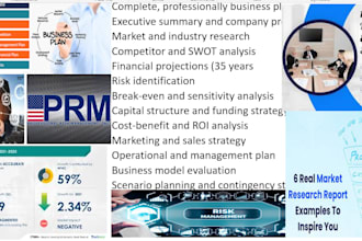 write business plan proposal strategic risk management market research report