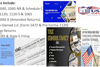 prepare and efile USA tax returns for individuals and businesses llc sales tax