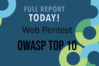 professionally test your website for owasp top 10 vulnerabilities