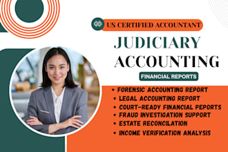 do judicial accounting, financial audit, and court ready report for legal cases