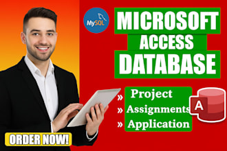 develop ms access database assignments and projects