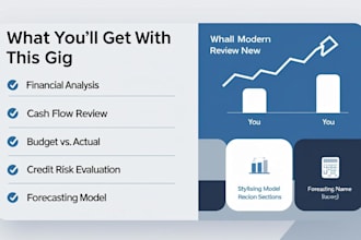do financial analysis, credit review, and cash flow analysis