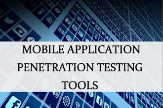 perform web application penetration testing with detailed report