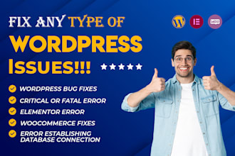 fix wordpress issues, theme and plugins update and fix elementor issues