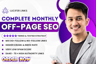 provide monthly SEO service to boost domain rating