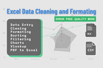 ms excel data cleaning, data entry, data formating,