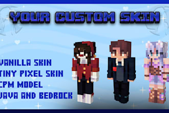make the best minecraft skin or custom model for you