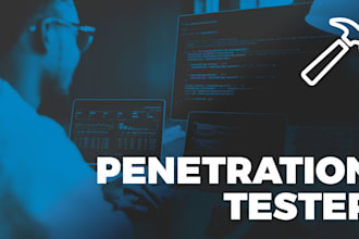 conduct web app vulnerability assessment and penetration testing