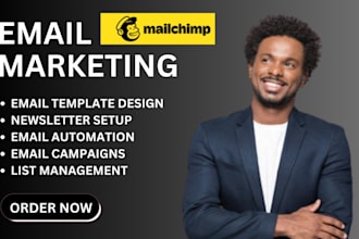 setup mailchimp email flows, website integration, and email marketing automation