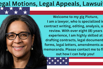 draft court documents, case briefs, lawsuits, motions, petition, appeal, lawyer