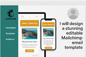 professional mailchimp email marketing campaign setup plus shopify automation