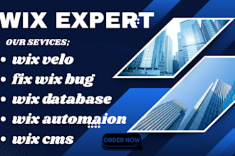 do wix form wix automation wix redesign wix cms wix dynamic page wix ranking seo