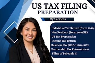 prepare and file US tax return, US tax filing, for businesses and individual