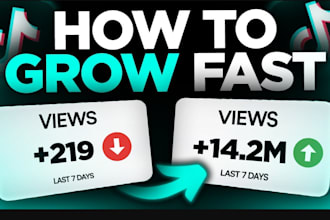 do organic website traffic to USA,UK,canada,australia,germany site promotion