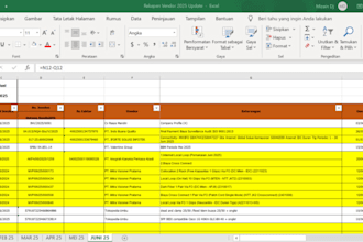 do accurate data entry, inventory tracking, and financial reports