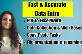 fast manual data entry from PDF to excel or word