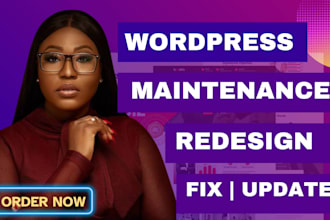 do website maintenance website update wordpress support website security bug fix