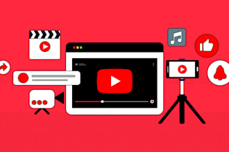 do organic youtube video promotion  or channel promotion to get subscribe