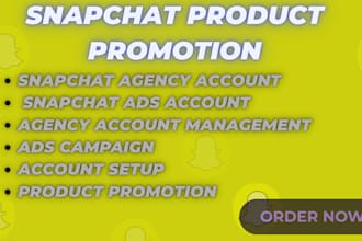 setup and manage your snapchat ads campaign