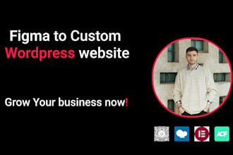wordpress website, astra theme customization, acf, for business