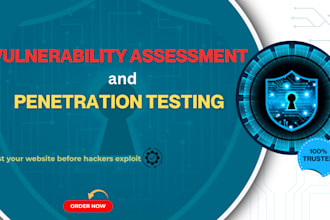 conduct vulnerability assessment and penetration testing