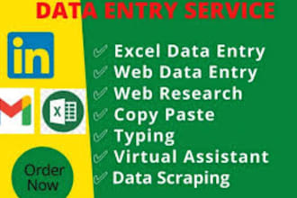do data entry, web research, excel, admin support work,email