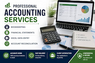 do bookkeeping, financial statement, and excel data entry