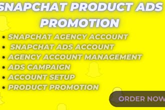 approve snapchat agency ads account, snapchat business manager, snapchat ads
