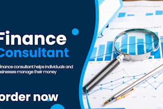 provide investor ready financial models, forecasts, projections